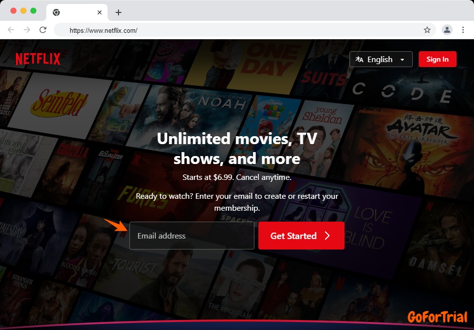 Netflix usa free month sale