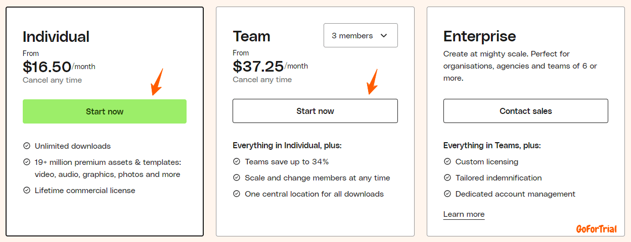 Envato Elements Pricing Plan