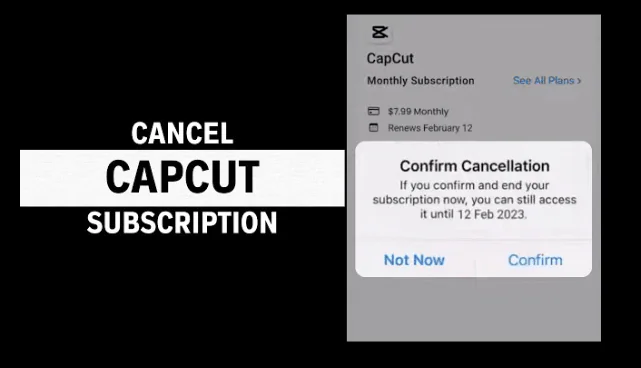 CapCut Free Trial: Start Your 30-day CapCut Pro Trial Now! 8 How-To-Cancel-CapCut-Free-Trial